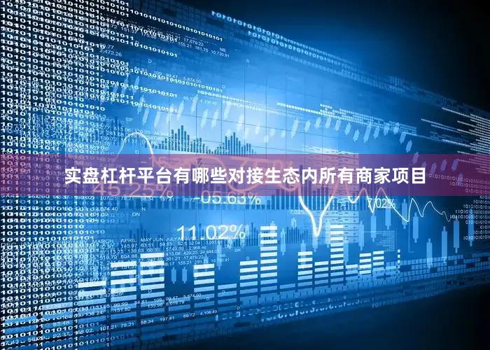 实盘杠杆平台有哪些对接生态内所有商家项目